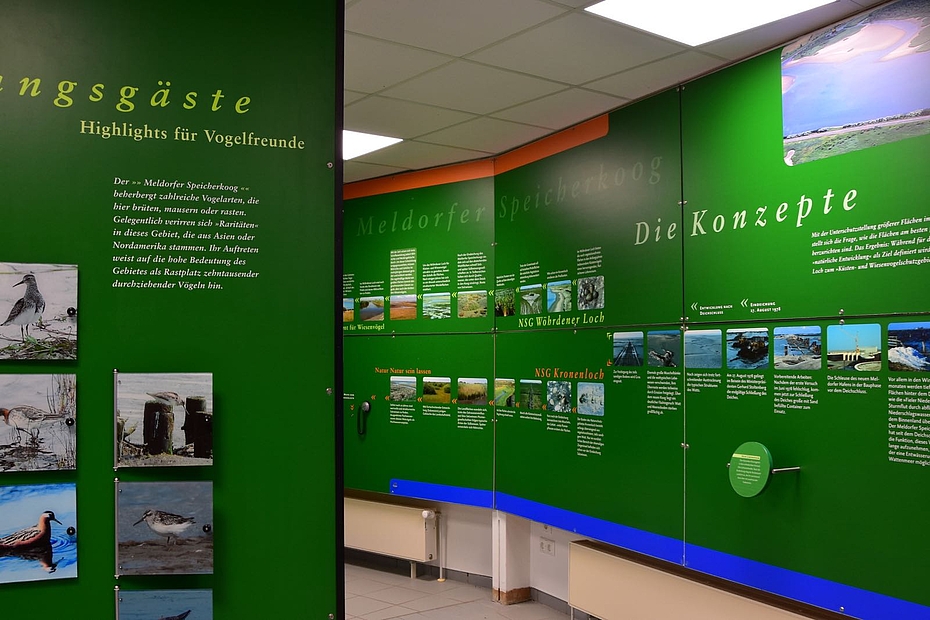 Meldorf Ausstellung Konzepte