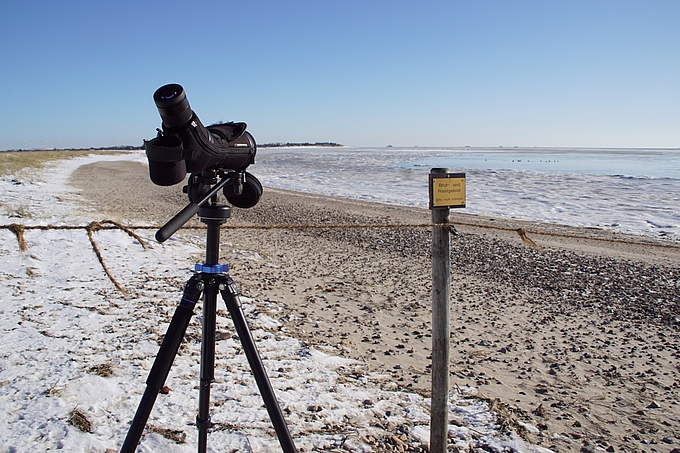 Fernrohr am Brutgebiet am Strand auf Föhr