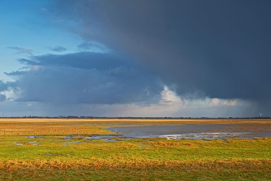 Regenschauer über Wiesen und Wasserflächen