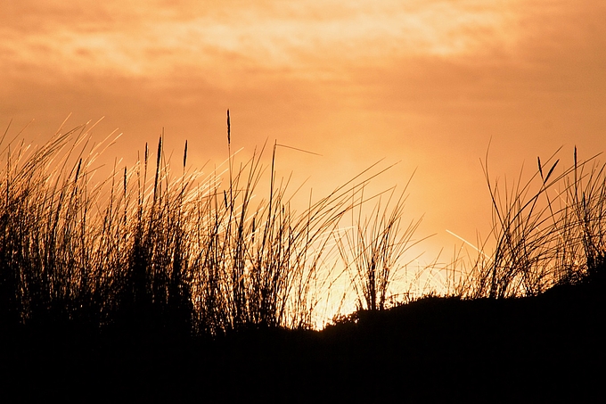 Dünen mit Morgenhimmel