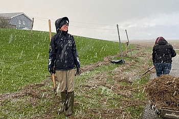 Eine Freiwillige blickt kurz in den Schnee