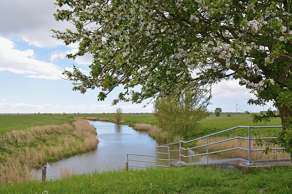 Früherer Wöhrdener Hafenpriel