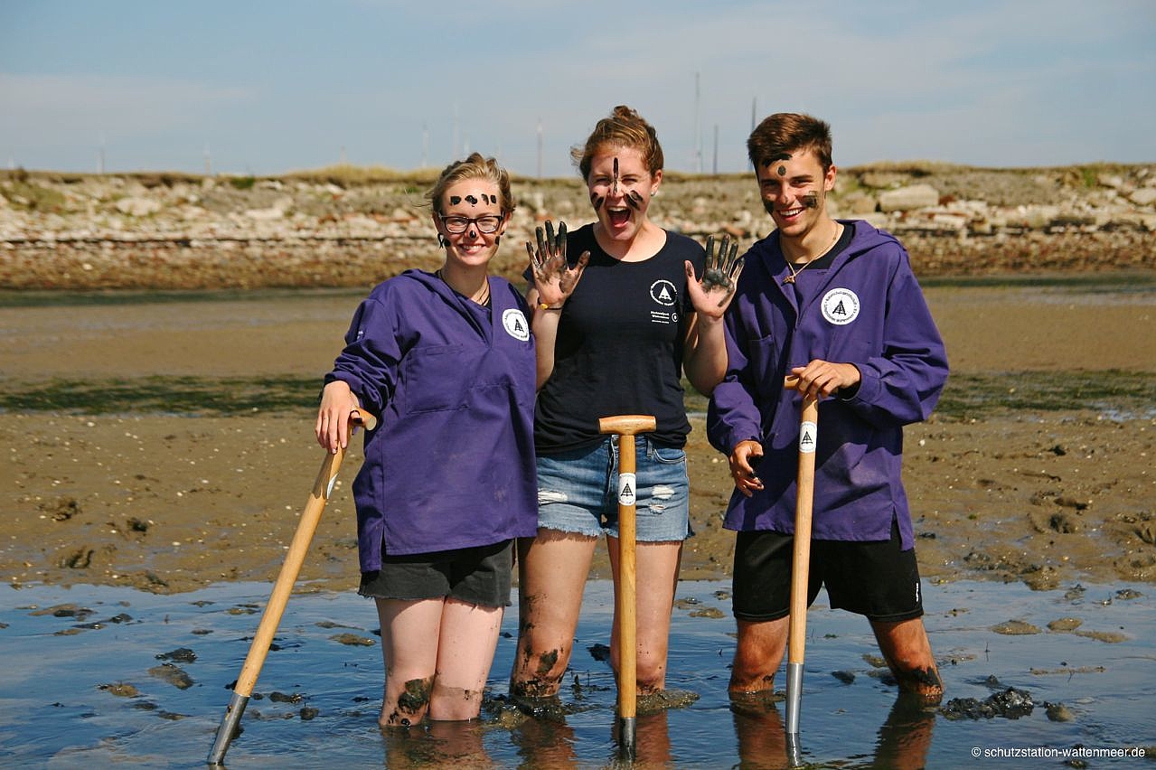 Team mit Wattforken im Schlick Team mit Wattforken im Schlick