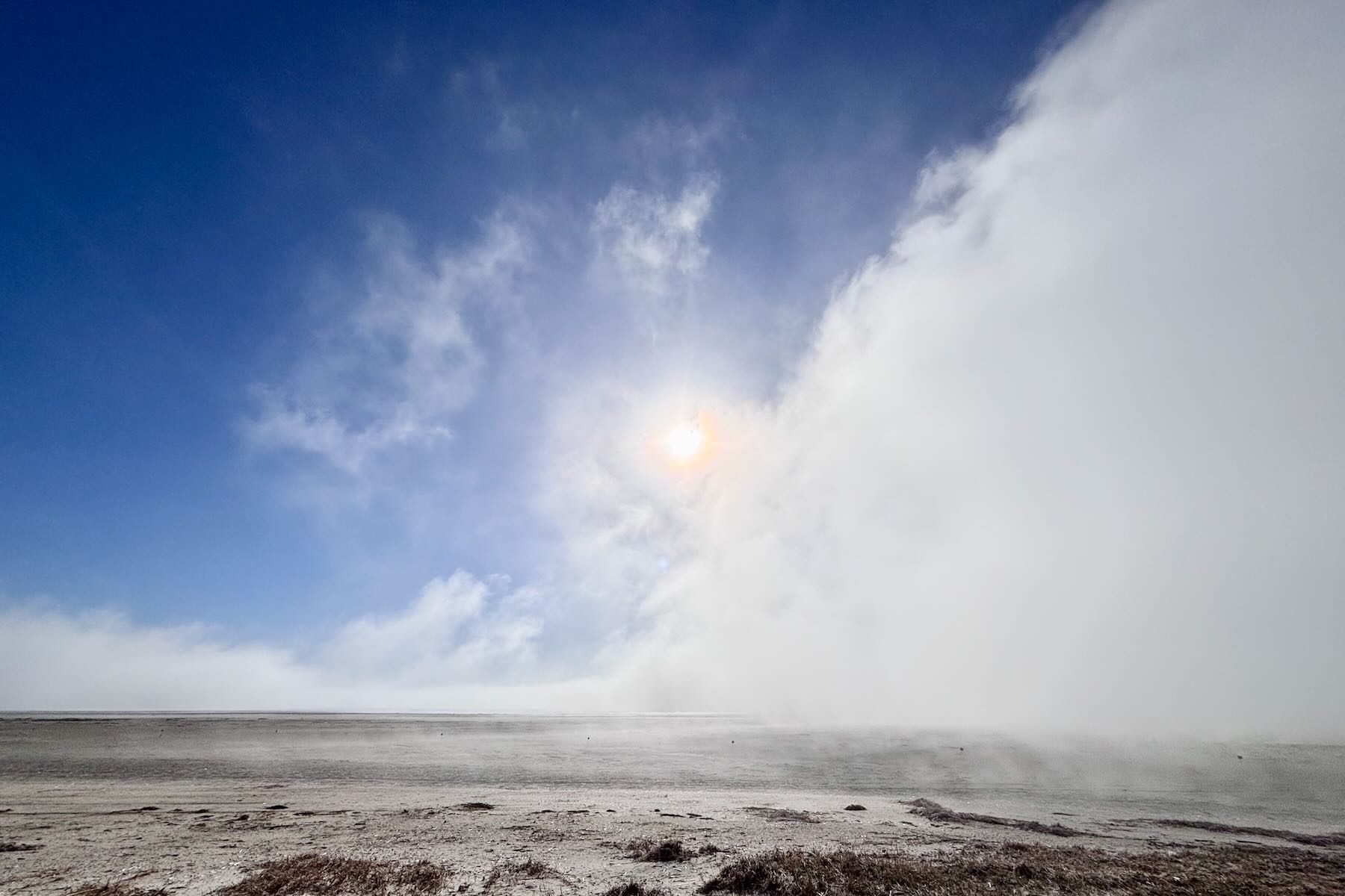 Nebelwand knapp vor der Sonne Nebelwand knapp vor der Sonne