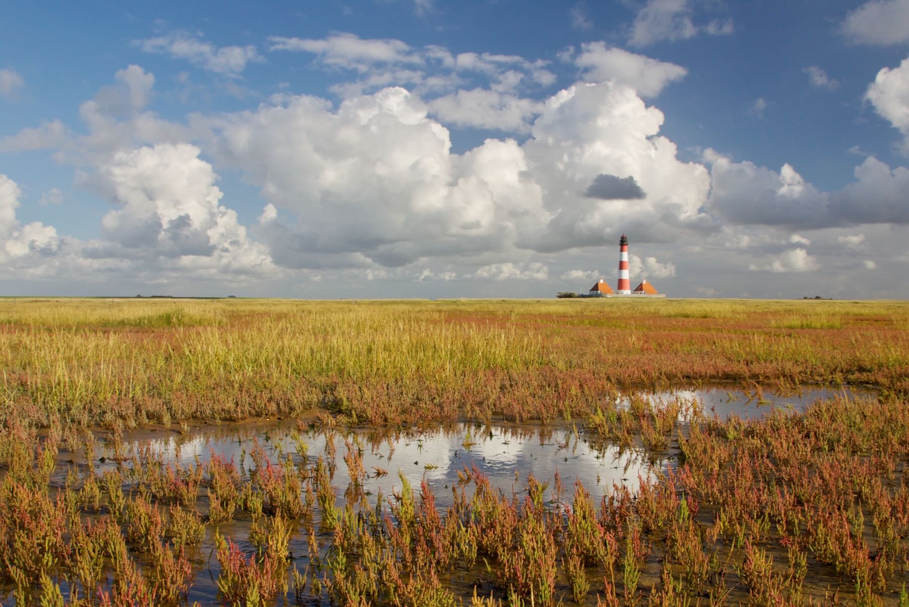 Herbstfarben vor Westerhever Herbstfarben vor Westerhever