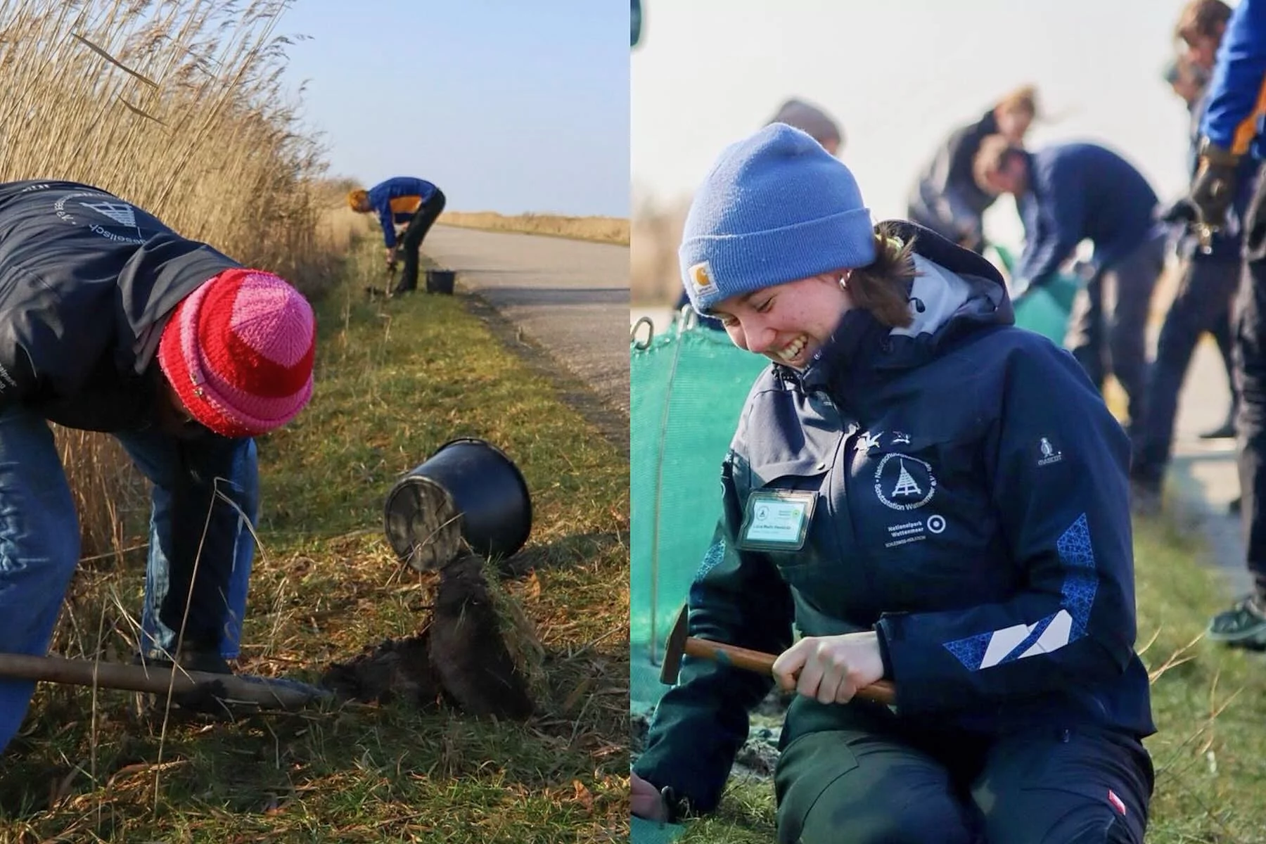 Arbeiten am Zaun Arbeiten am Zaun