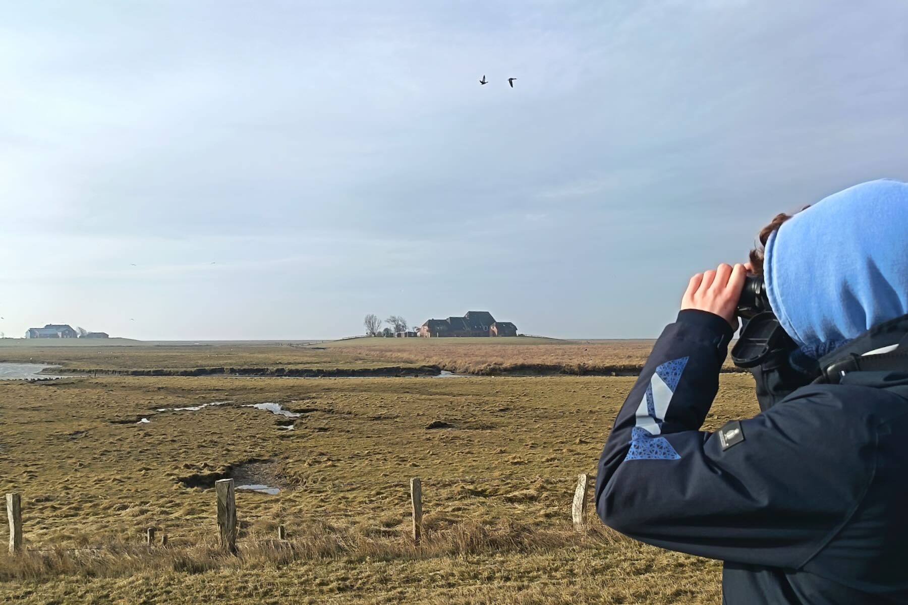 Vogelbeobachter sieht durch Fernglas Vogelbeobachter sieht durch Fernglas