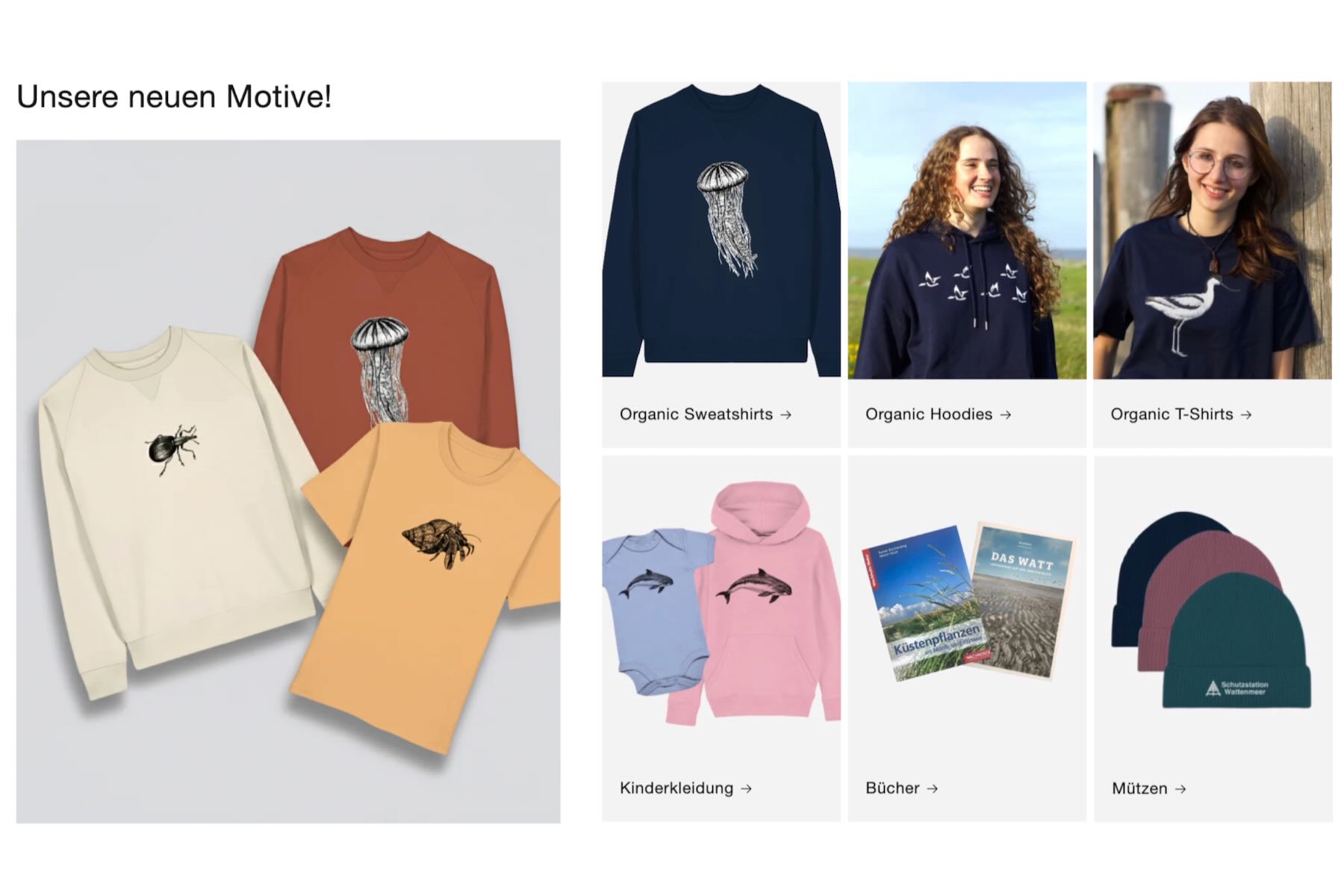 Collage aus Fotos der Webseite Collage aus Fotos der Webseite