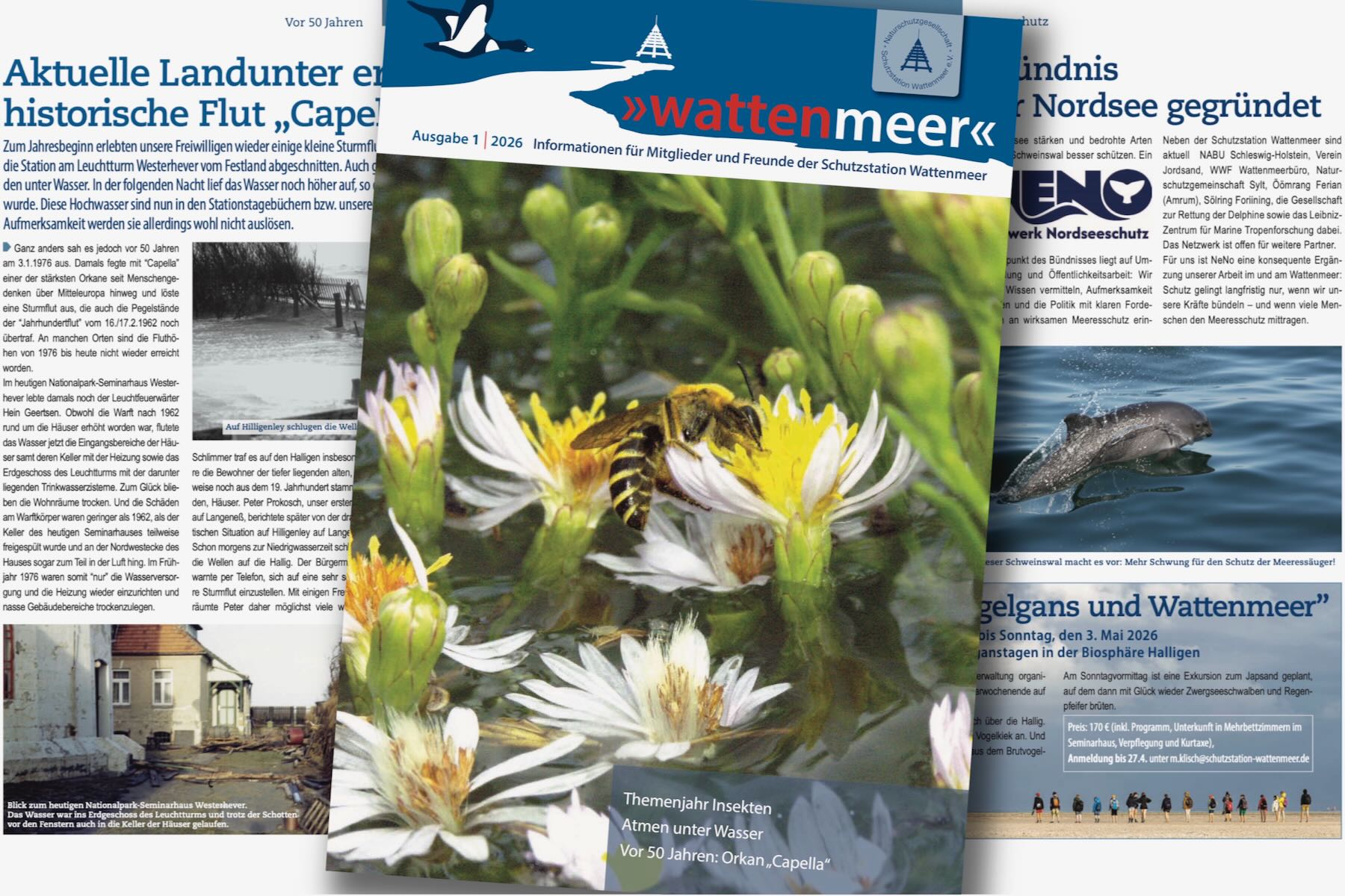 Collage von Titel- und Innenseiten Collage von Titel- und Innenseiten